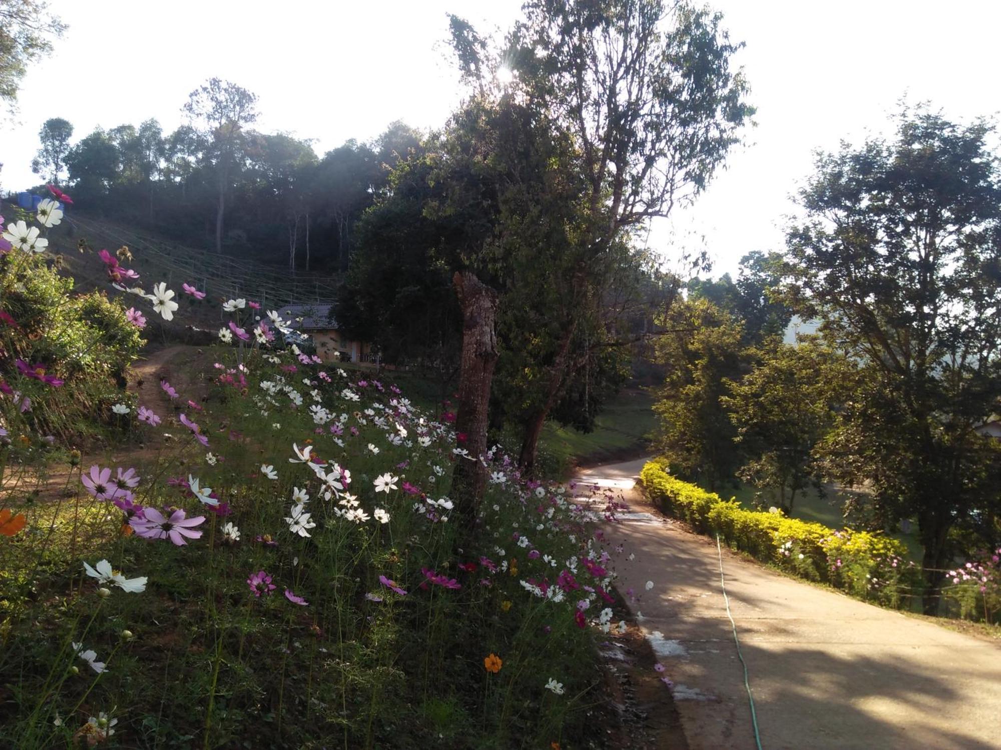 Mong Homestay Resort Pang Ung Exterior foto
